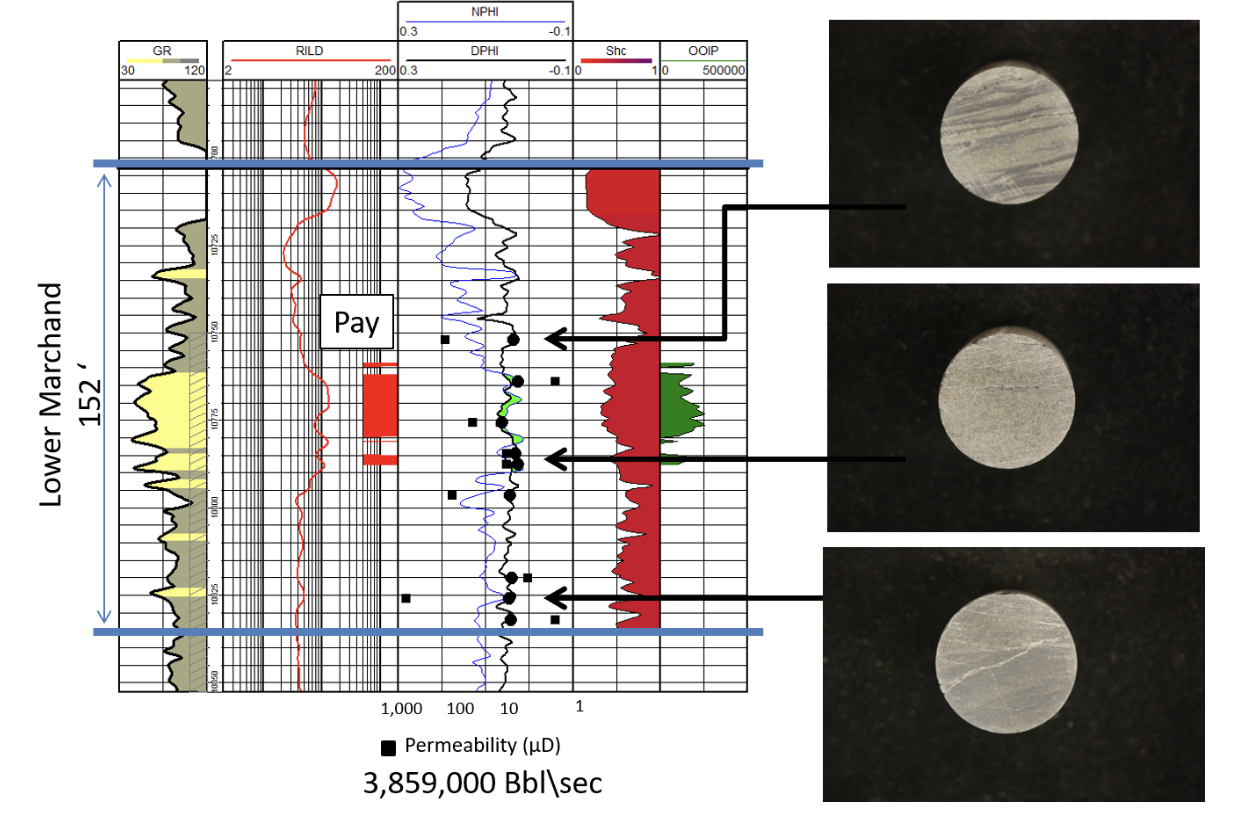 Lower Marchand pay zone log with core