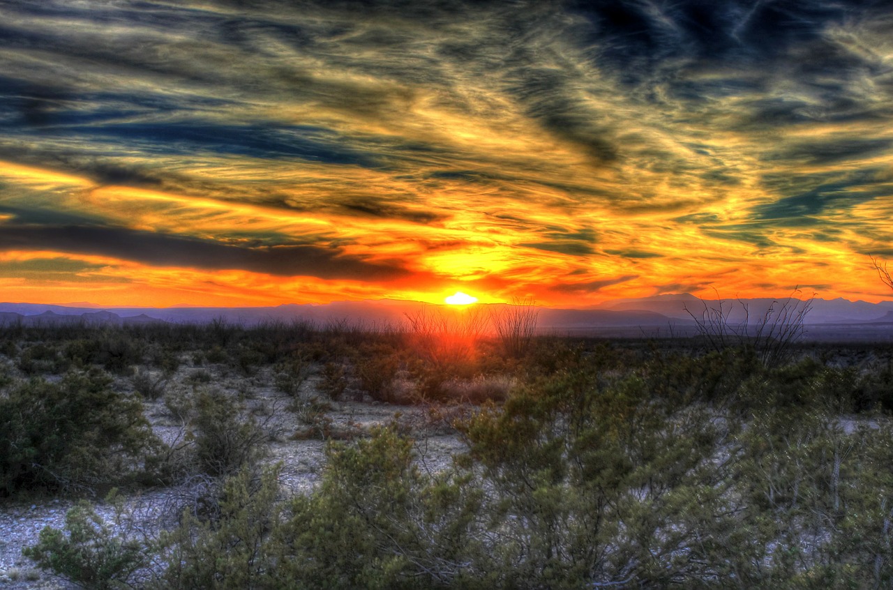 sunset, desert, texas